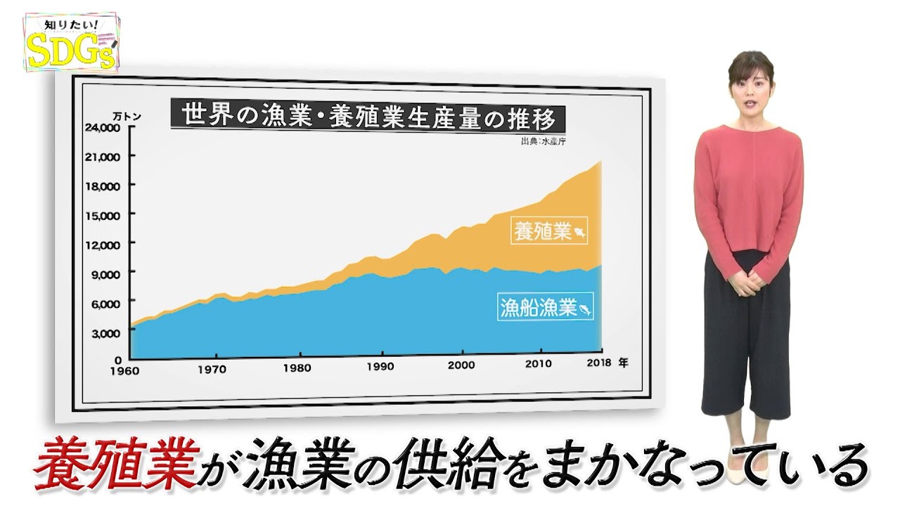 知りたい！SDGs #80 |2021年4月8日放送