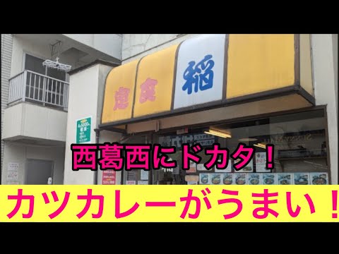 【柴犬飼い主53歳】カツカレーがうまい稲食堂行ってみた！