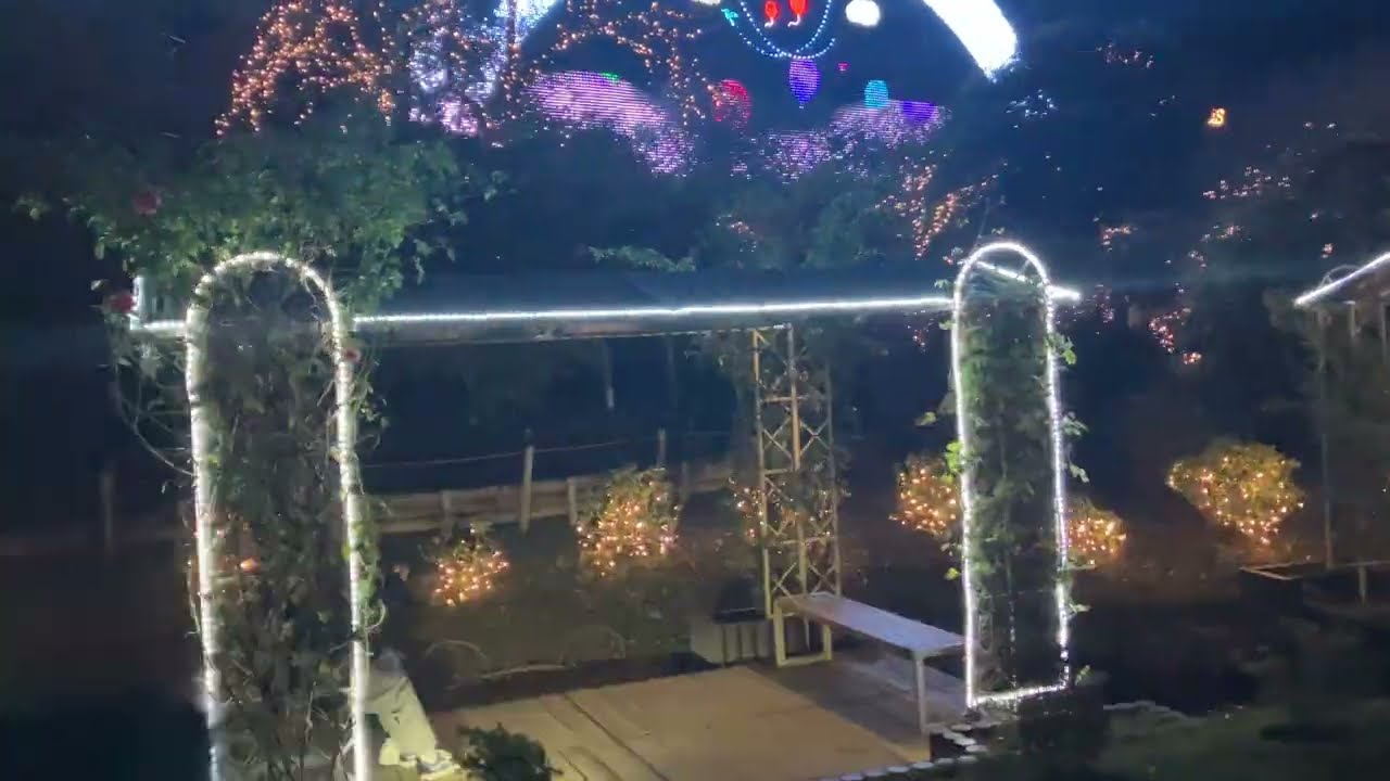 #あしかがフラワーパーク🎄🎅#堀優衣📚#加藤礼愛🎤#いちみる🍓#鷹宮玲亜🚔#安土姫華🍓#ジャンキス💋#山田莉愛🐼#鈴木陽依梨🐣#宝珠柚花💎#miyabi 🐼#市居わこ🐼#熊之細陽葵🐻#あかぎ団🌸