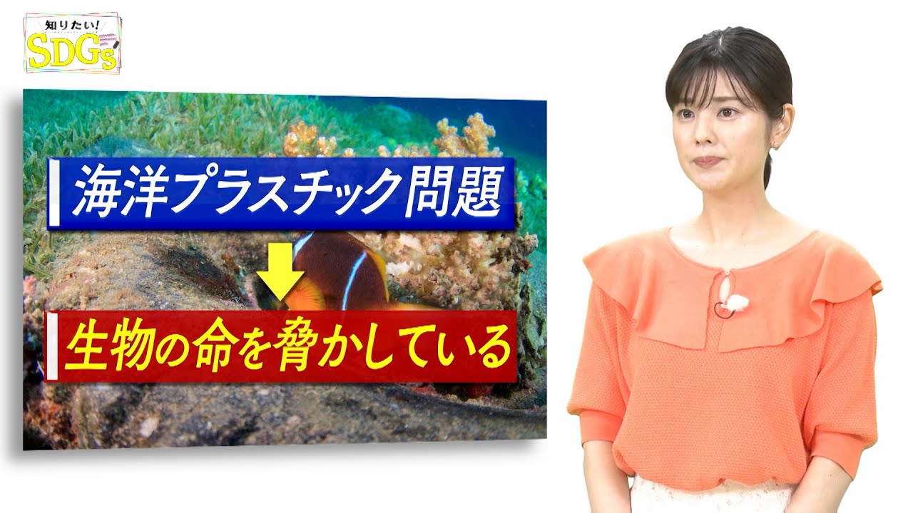知りたい！SDGs #95 |2021年7月22日放送