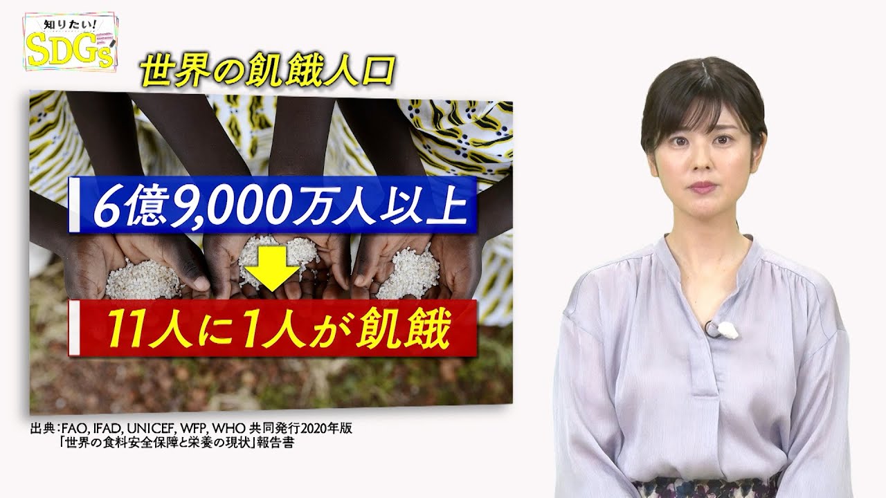 知りたい！SDGs #87 |2021年5月27日放送