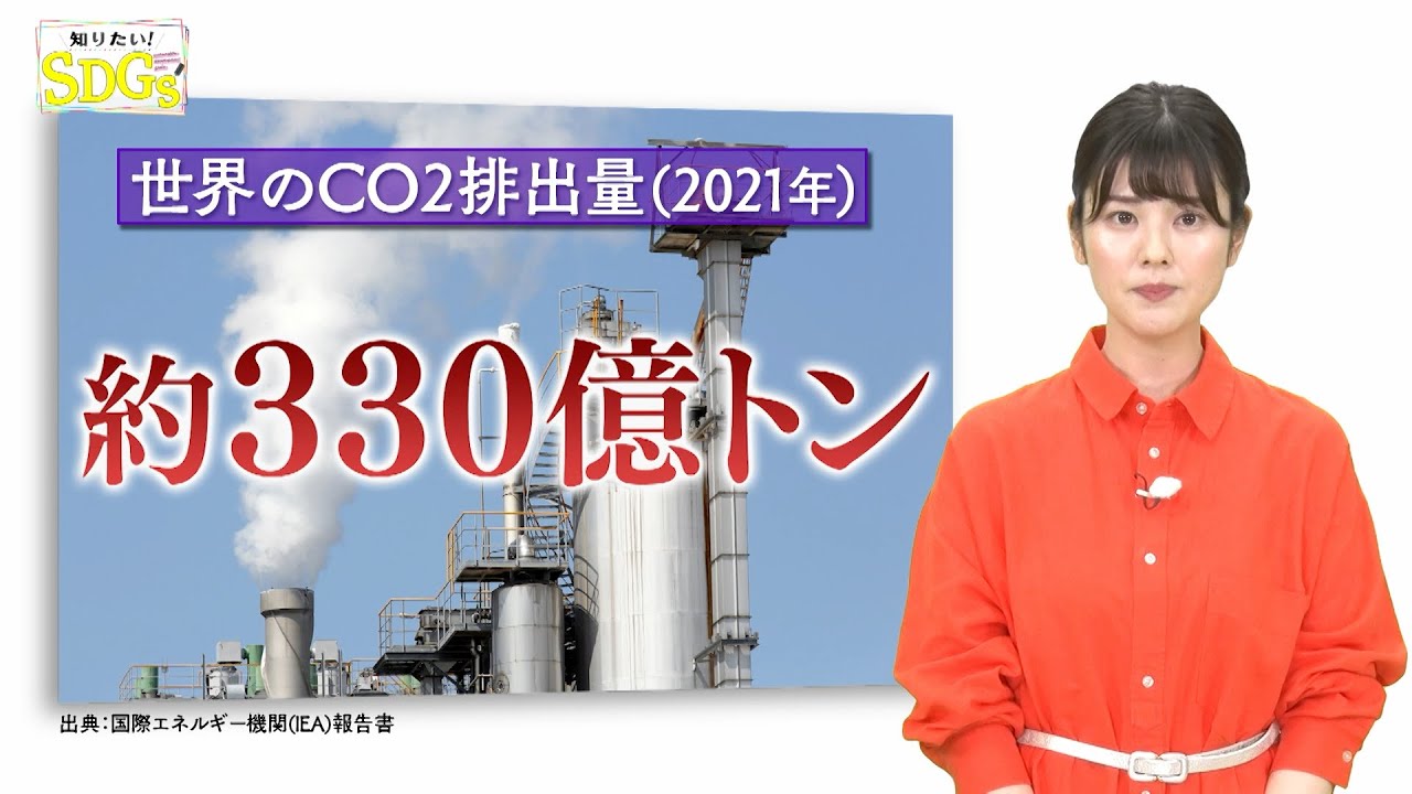 知りたい！SDGs #91 |2021年6月24日放送