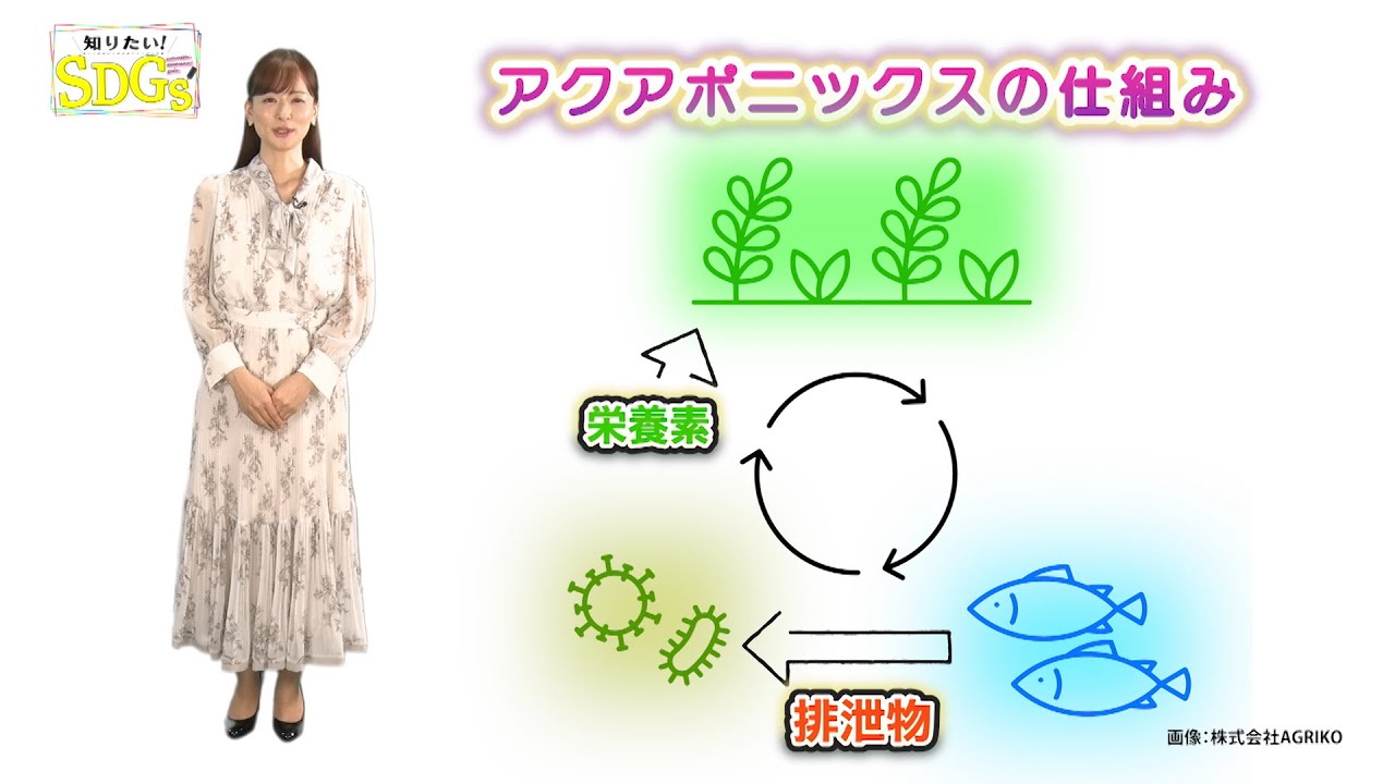 知りたい！SDGs #216 | 2023/11/16放送