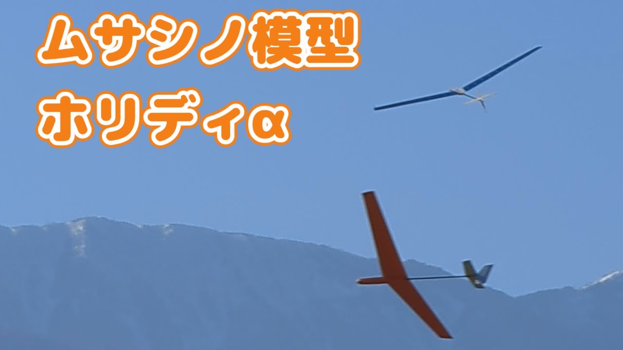 ムサシノ模型　ホリディα　トラス翼　フルプランク翼　ラジコン飛行機