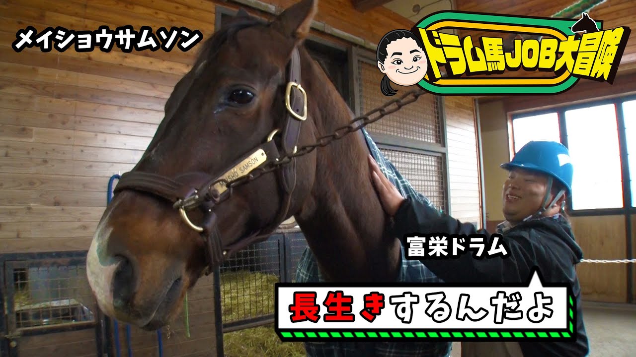 『ドラム馬JOB大冒険』最終話【TBS】