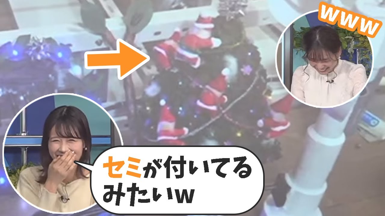 【高山奈々×戸北美月】ある方からのリポートにツッコミまくるお天気お姉さんたち🐯【ウェザーニュースライブ切り抜き】