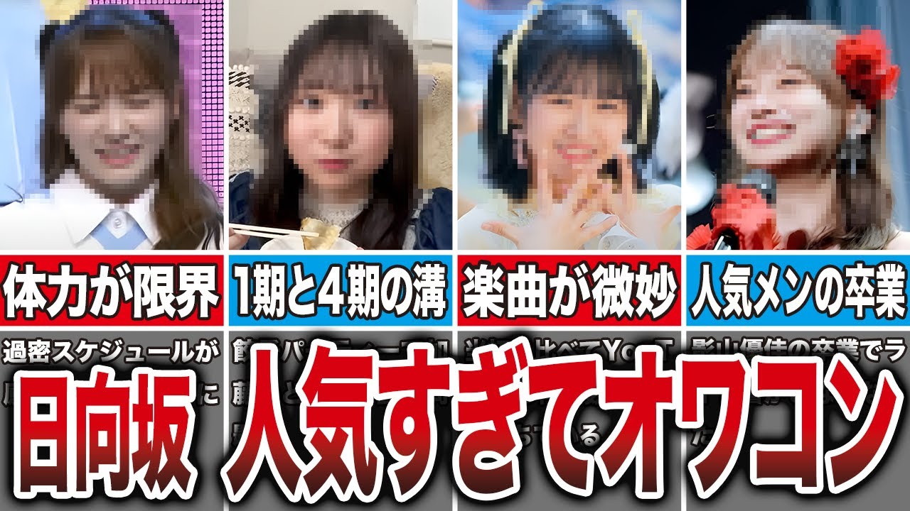 日向坂が人気絶頂で終わった理由、誰が見てもコレ【坂道ファンの反応】