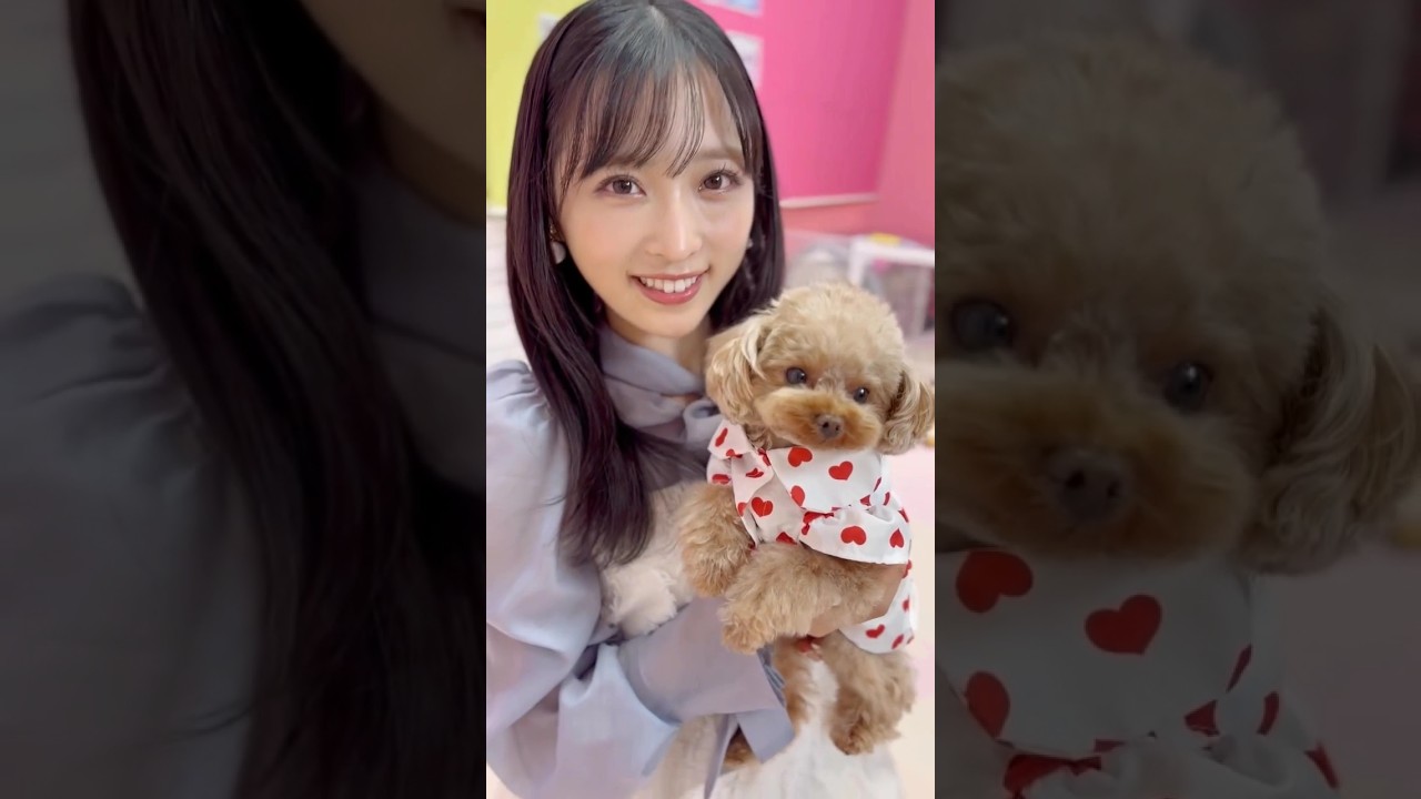 🍊 サンタが街にやってくる 🌸 AKB48 小栗有以 Yui Oguri クリスマス🍓 #AKB48 #小栗有以 #クリスマス #サンタ #犬 #わんこ  #shorts