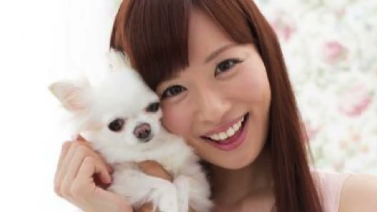 皆藤愛子さん「愛犬の姫が亡くなりました。」旅立ちを報告