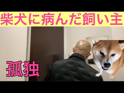 【柴犬飼い主53歳】柴犬に疲れた飼い主が病んで散った行動！