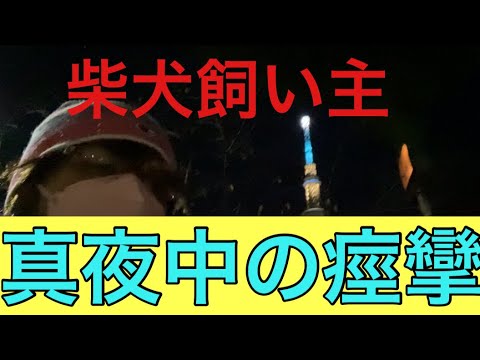 【柴犬飼い主53歳】真夜中に痙攣しタクシーで帰る飼い主！