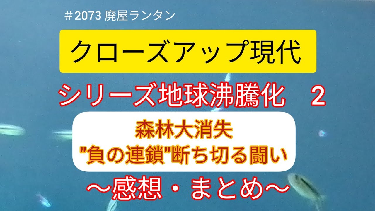 ＃2073 クローズアップ現代   シリーズ地球沸騰化2.    森林大消失   "負の連鎖"断ち切る闘い　　〜感想・まとめ〜　　　2023.12.27,