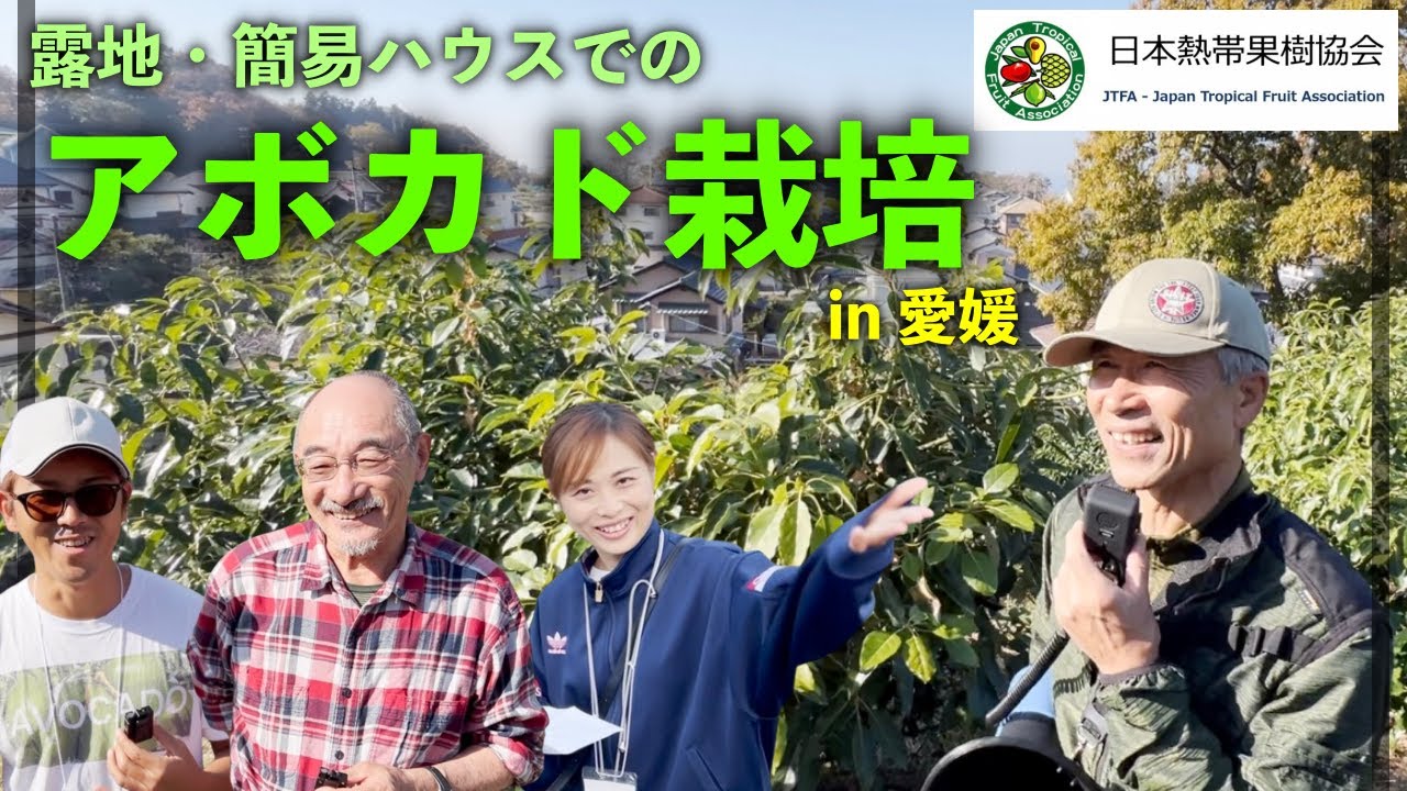 【日本熱帯果樹協会】露地・簡易ハウスでのアボカド栽培 in 愛媛県松山市 有田さん園地