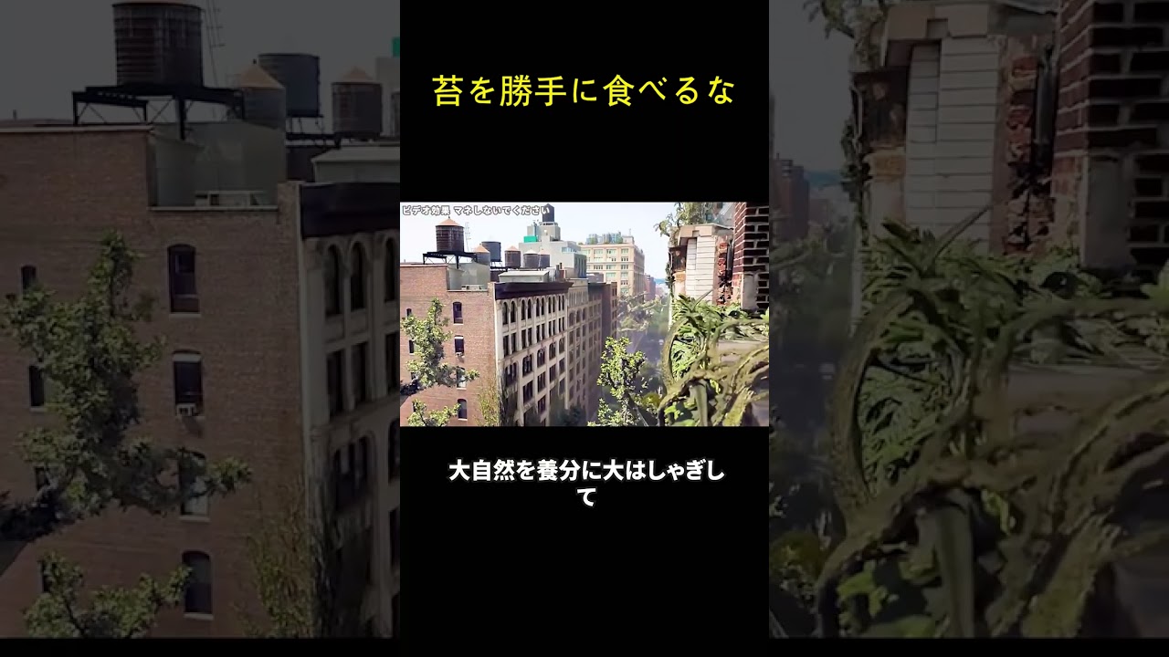 苔を勝手に食べるな！