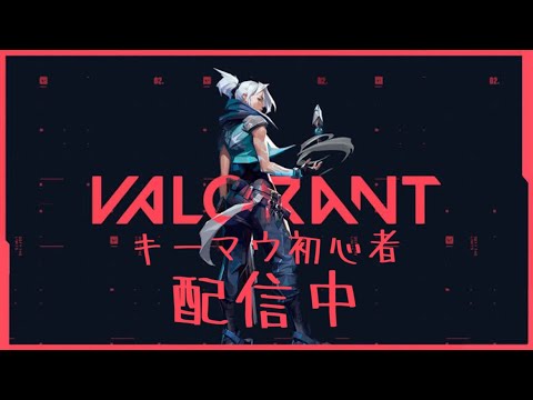 新年早々VALORANT