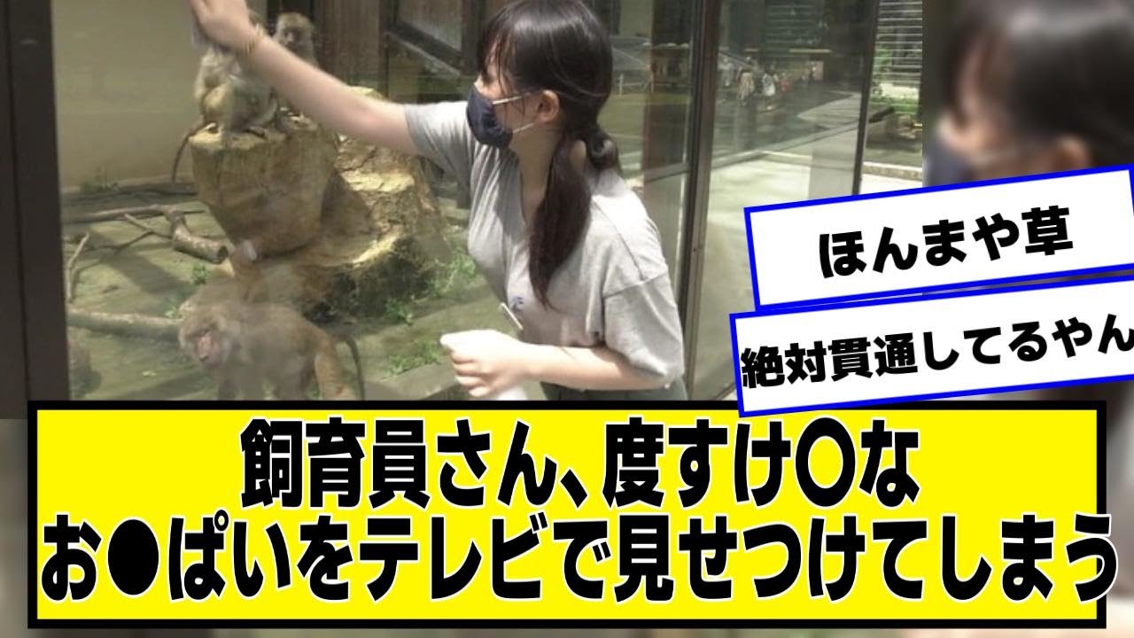 飼育員さん、テレビで見せつけてしまう【ネットの反応】#美女bra