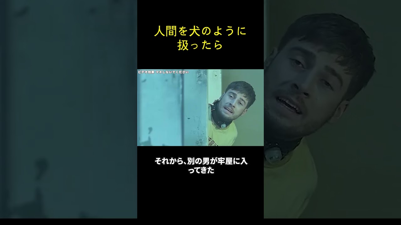 人間を犬のように扱ったら