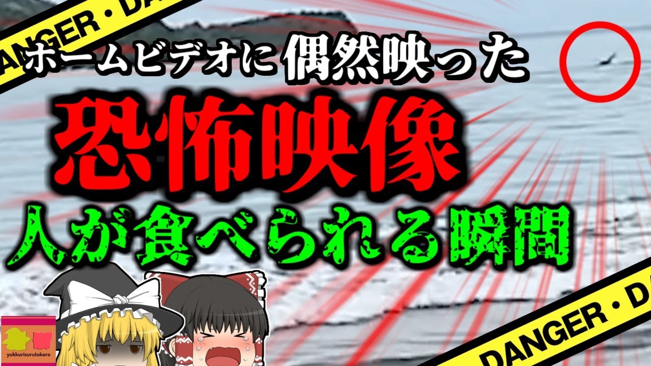 【2023年】ホームビデオに写り込んでいた恐怖映像 海でワニに襲われ助けを呼ぶ男性のシルエットが…『メキシコ湾ワニ襲撃事故』【ゆっくり解説】