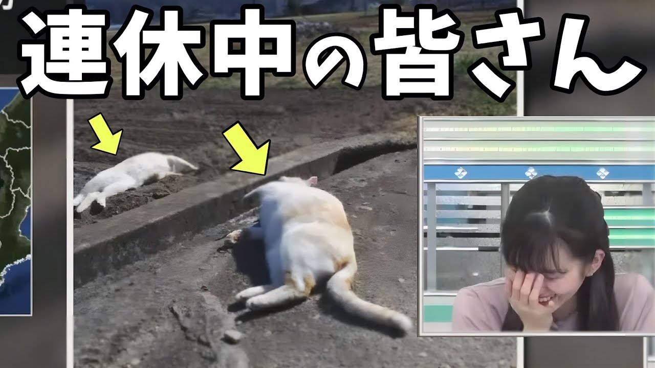 連休中の視聴者の姿に爆笑するお天気お姉さん【大島璃音】