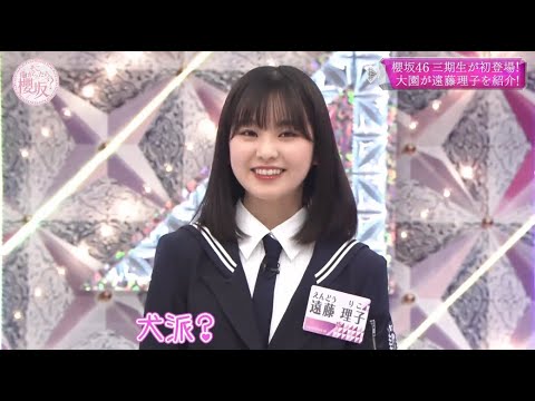 櫻坂４６ そこ曲がったら 櫻坂？2023 Episode 125 + 126 + 127 Full Show