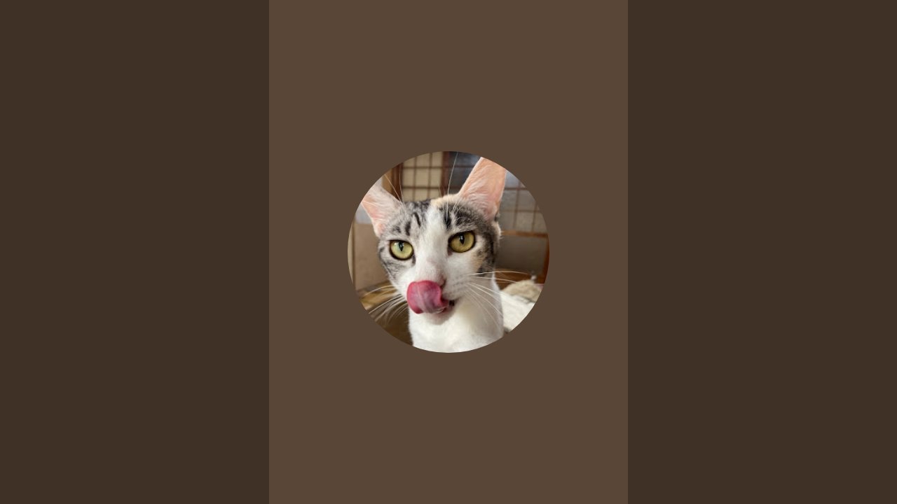 修羅ちゃんねる がライブ配信中！