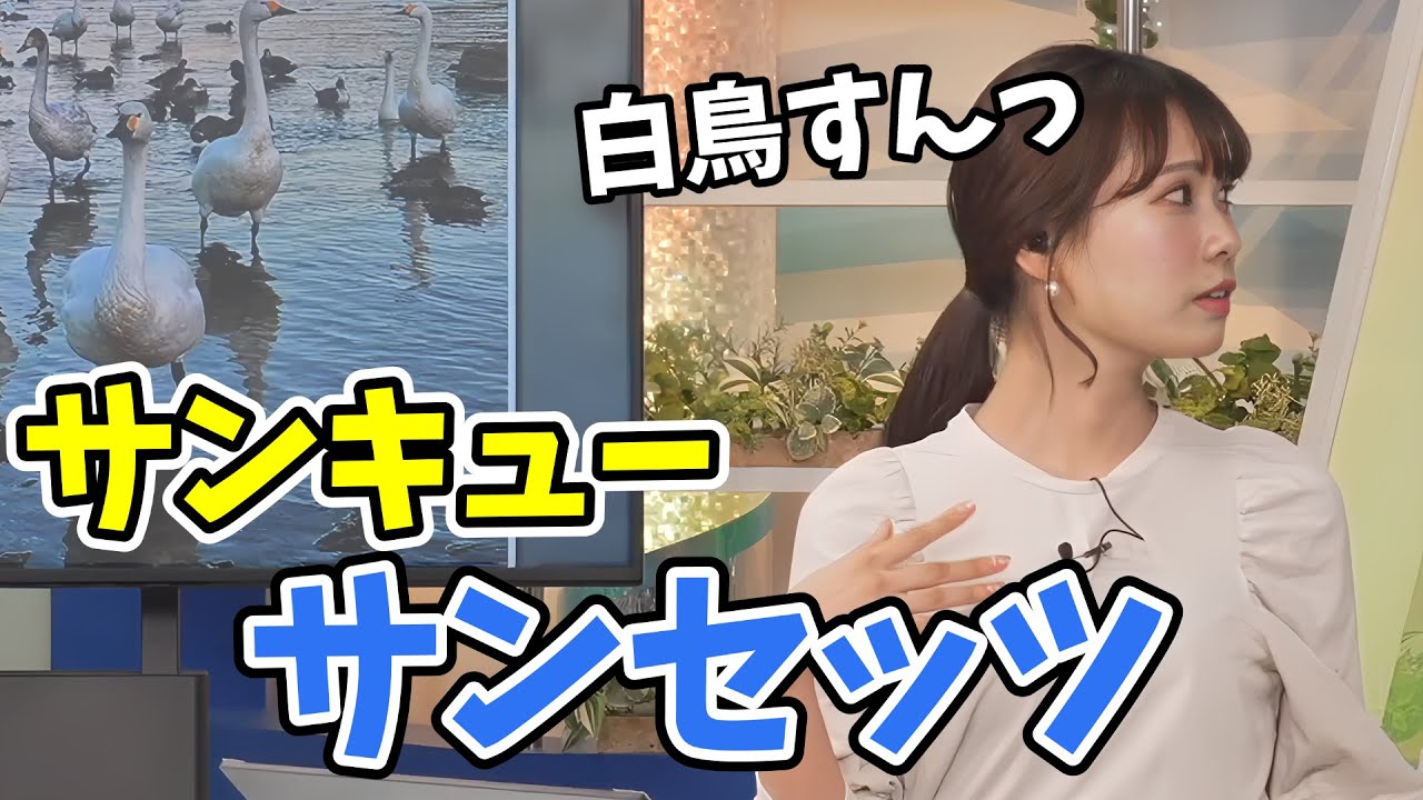 【戸北美月】サンセットリポートの白鳥さんのまねをするみーちゃん【ウェザーニュース切り抜き】