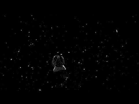 KOKIA〜光の中に〜 performance AI igarashi