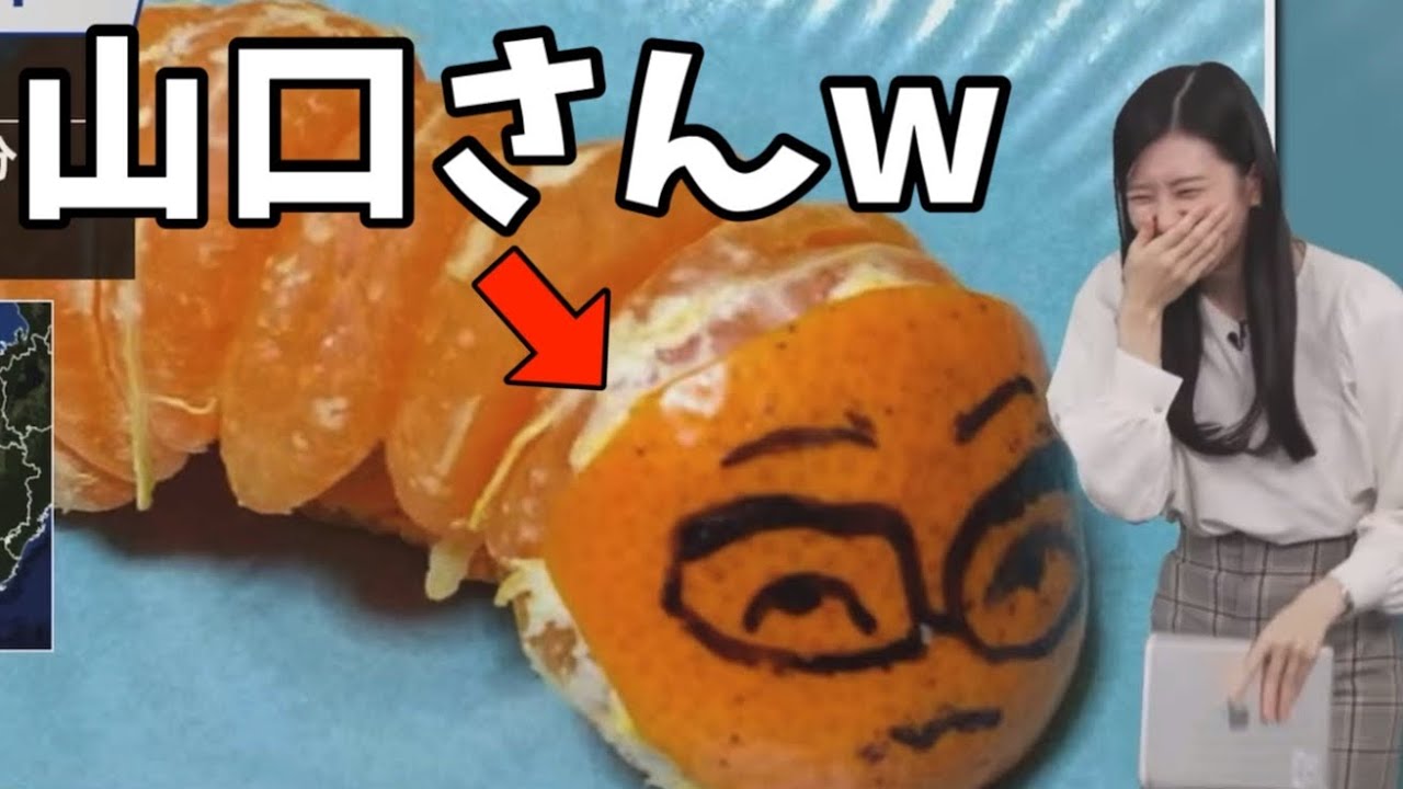 みかんで再現された山口さんに爆笑してしまうお天気お姉さん【大島璃音】みかんでダンゴムシ