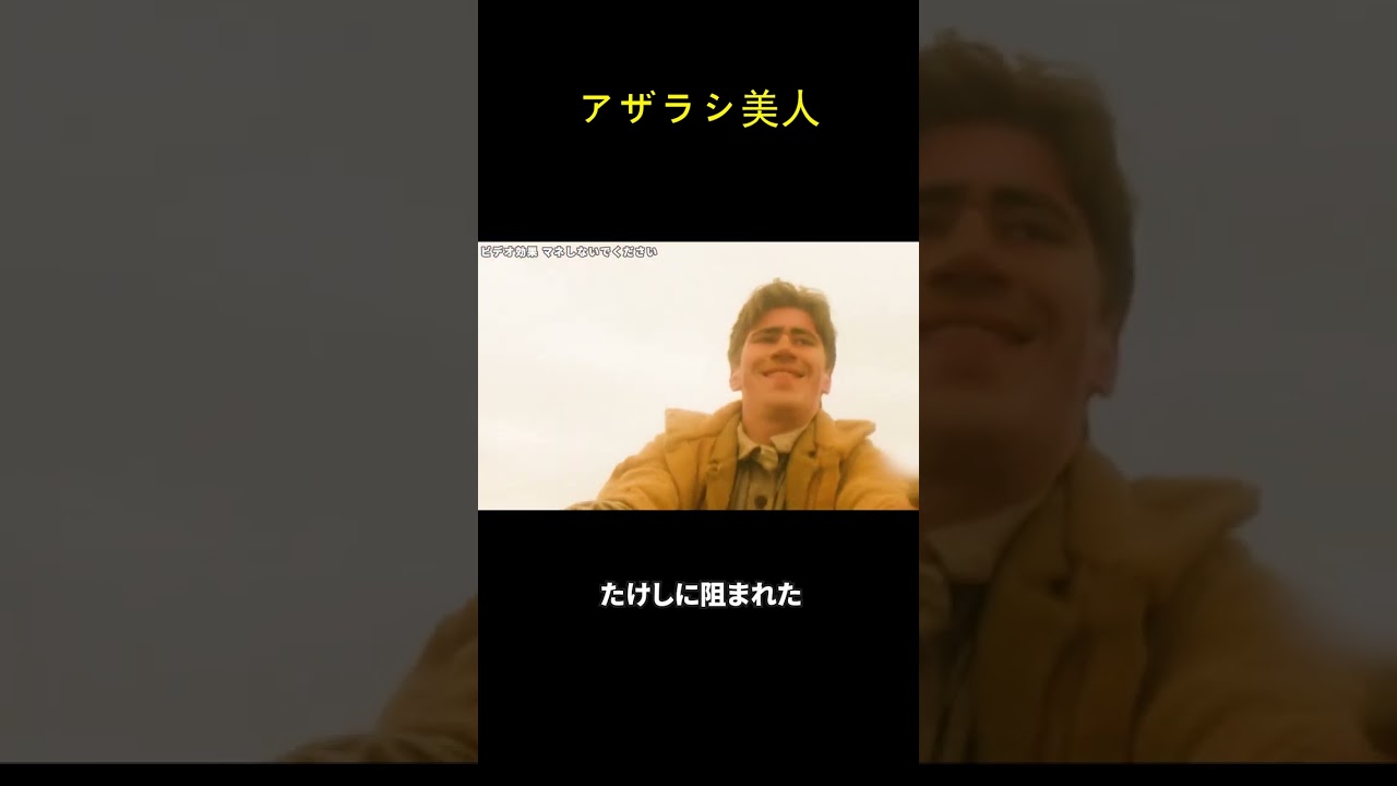 アザラシ美人