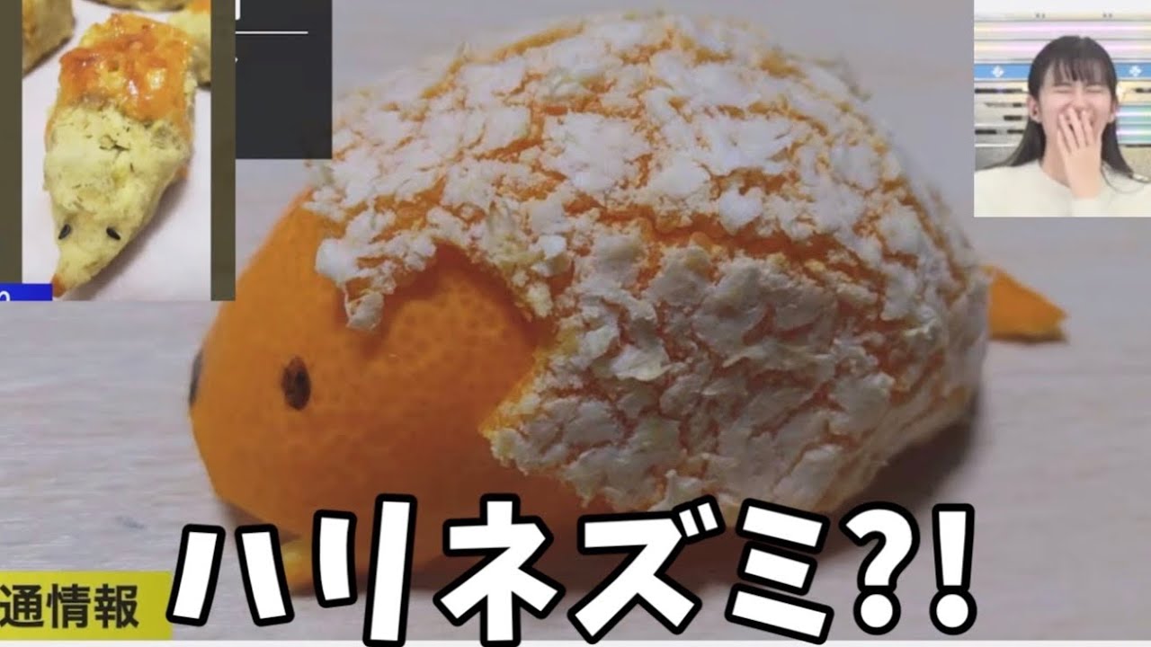 のんちゃんに見せたいハリネズミと思い出されるあの事件【大島璃音、小川千奈】後半にハリネズミ事件、みかんでハリネズミ