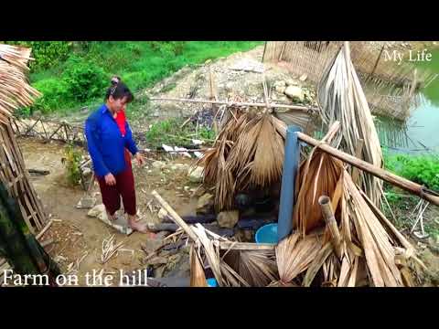 Mai_ Farm life | Sự kết hợp tuyệt vời giữa ẩm thực và thiên nhiên