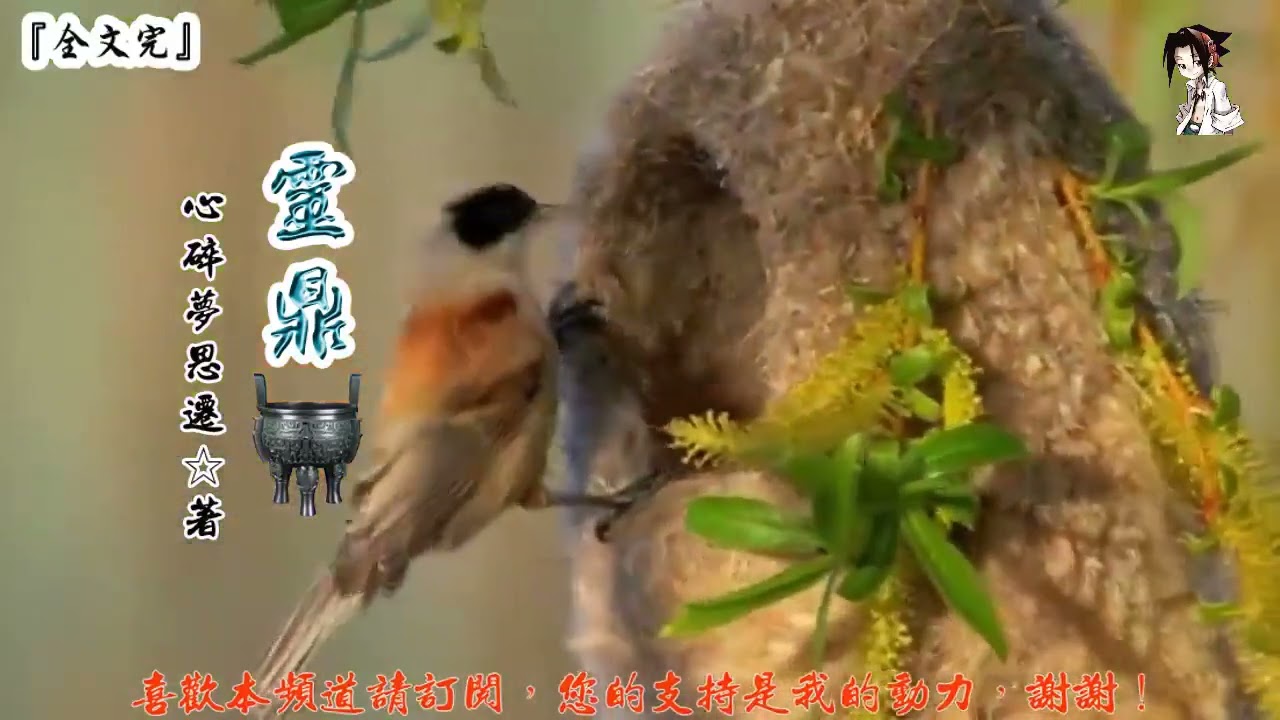 靈鼎 (441-460章) 作者：心碎夢思遷 (字幕：繁 简）