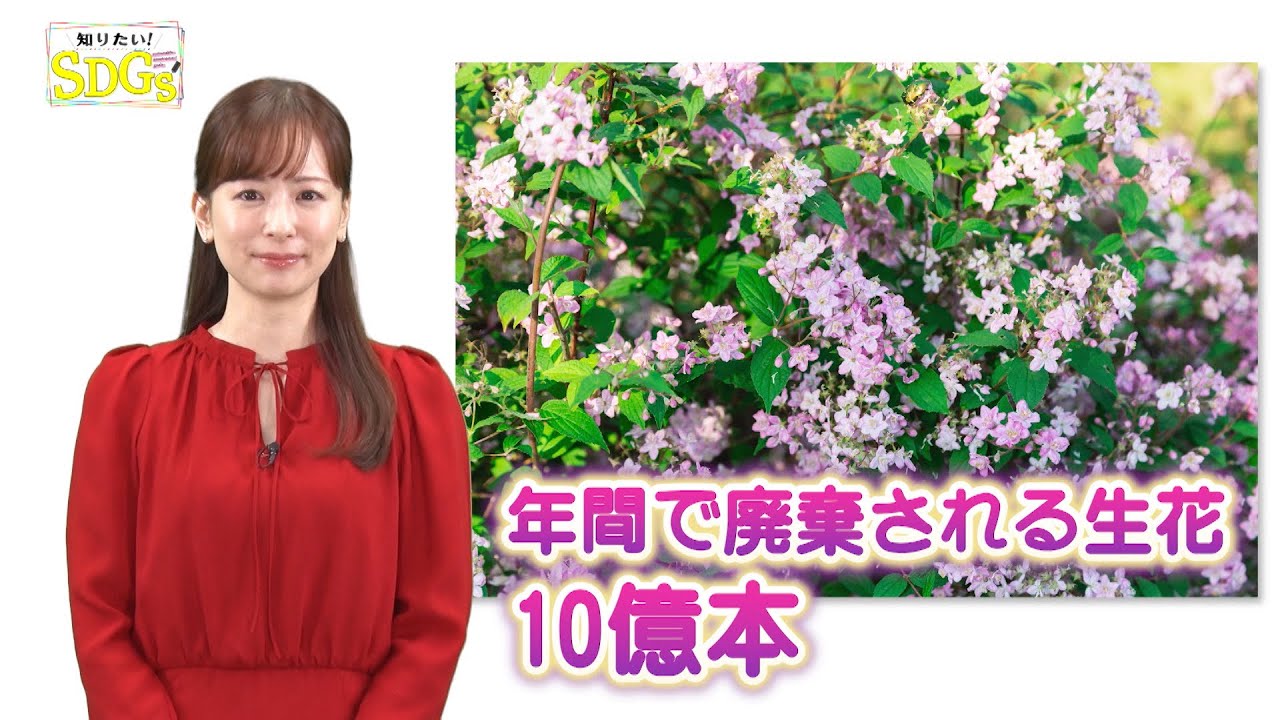 知りたい！SDGs #224 | 2024/1/11放送