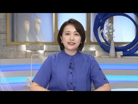 相内優香アナ関連画像３００枚【１０分】