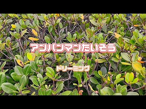 『アンパンマンたいそう』cover＜歌詞朗読＞