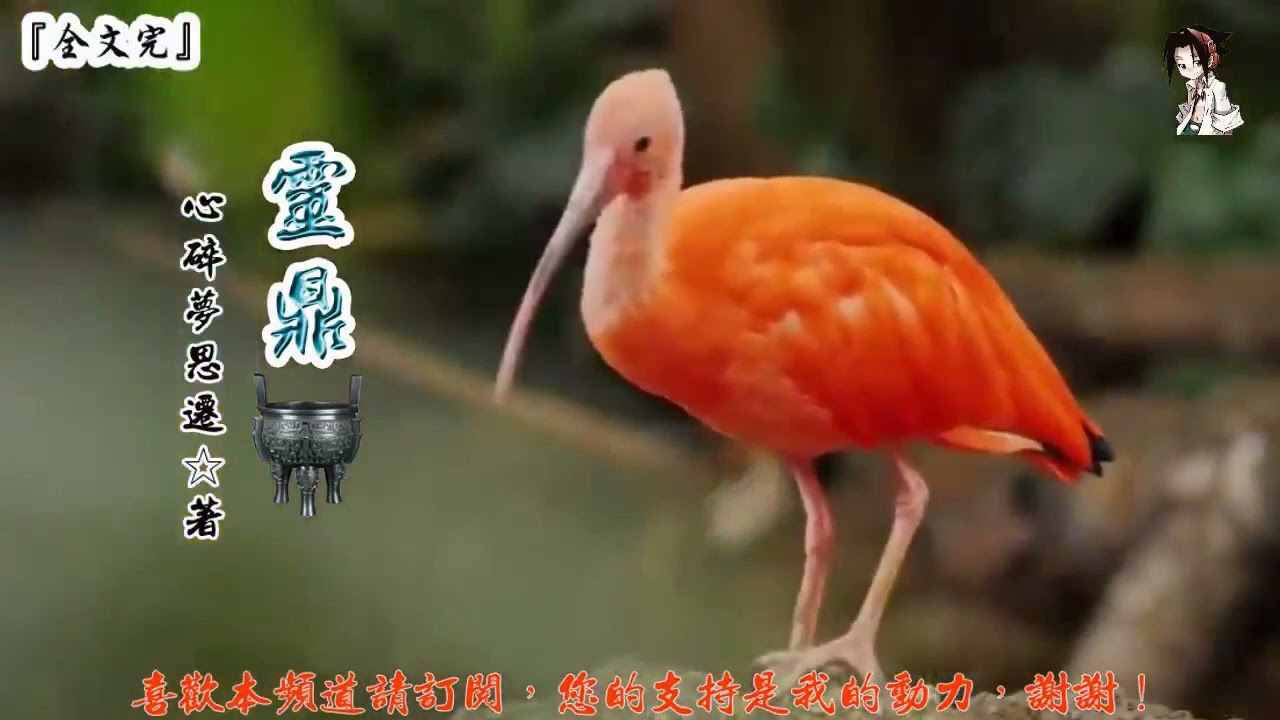 靈鼎 (1161-1180章) 作者：心碎夢思遷 (字幕：繁 简）