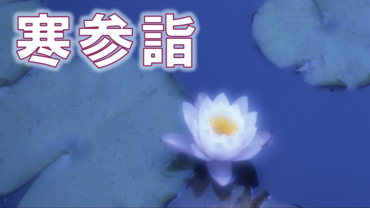 1月13日 朝参詣《寒参詣》【高祖報恩総講】LIVE