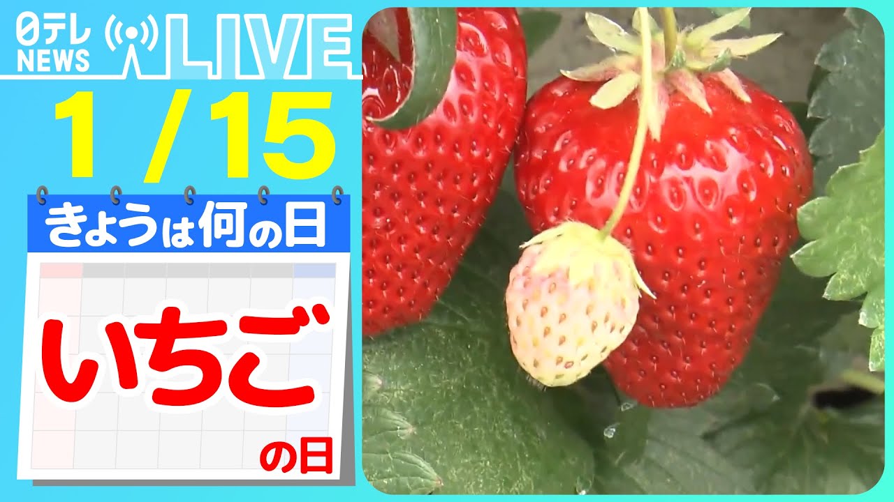 【きょうは何の日】『いちごの日』大人気の“完売”グルメ  いちご大福　/【熱海グルメ】いちごスイーツ   地元でウワサの人気店　など　ニュースまとめライブ【1月15日】（日テレNEWS LIVE）