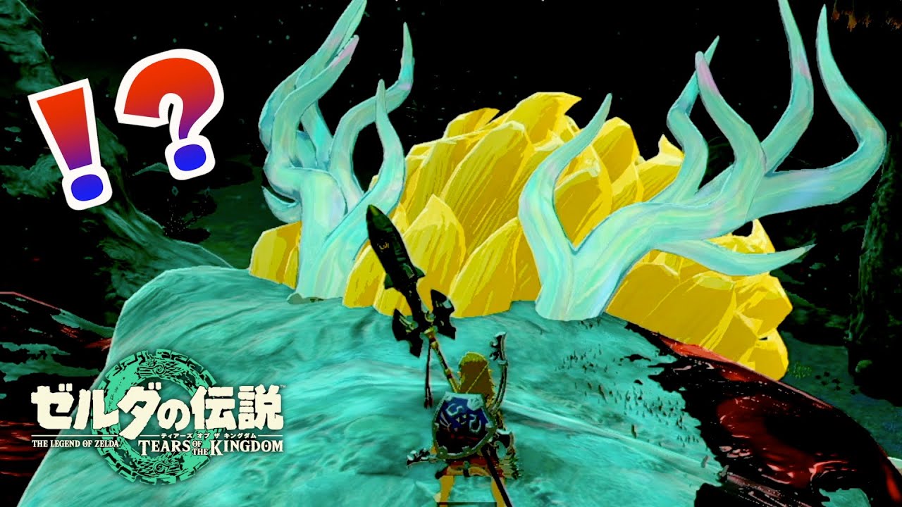 白龍を連れ出してペット化する方法がヤバすぎたｗｗｗ【ゼルダの伝説ティアーズオブザキングダム】【Totk】