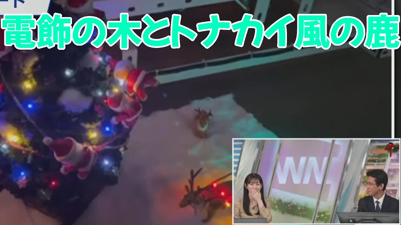 2023/12/25 青原桃香×電飾のシカ【ウェザーニュース切り抜き】