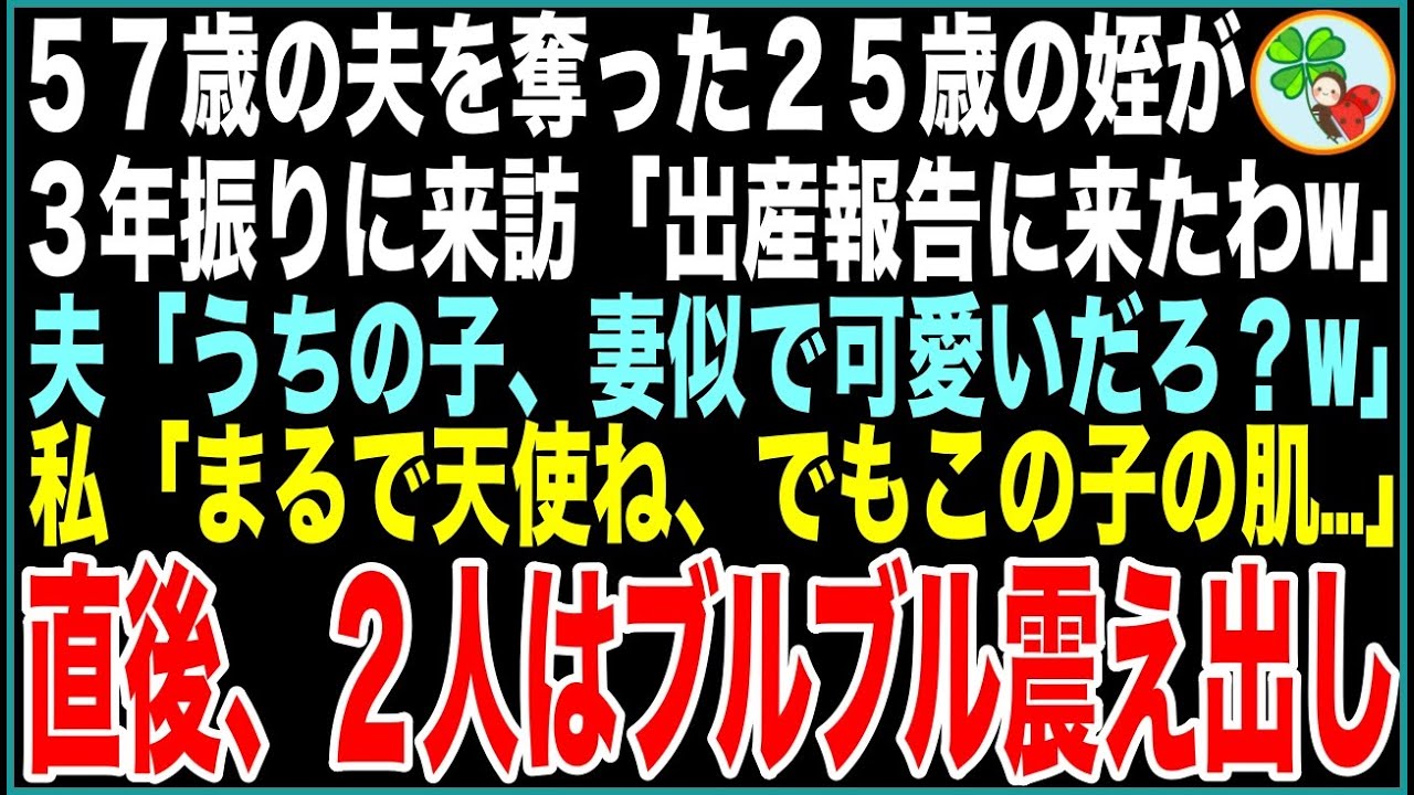 【スカッと】57歳の夫を奪った25歳姪が3年振りに来訪「出産報告よ！お祝いしてねw」夫「うちの子、妻似で可愛いだろ？w」私「まるで天使ね、でもこの子の肌…」直後、2人はブルブル震え出し【感動する話】