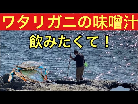 【柴犬飼い主54歳】ドカタと漁師！
