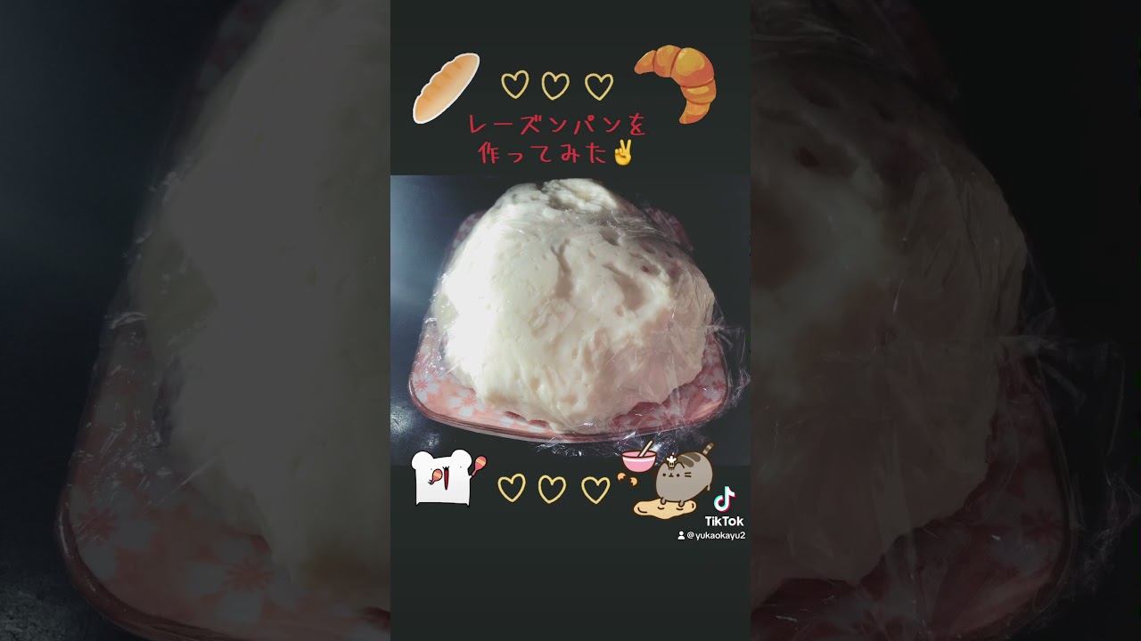 レーズンパンを作ってみた パン作り ふわふわだった