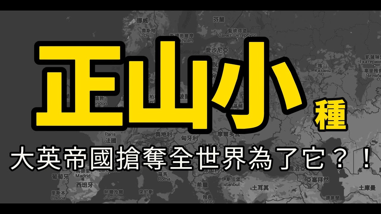 【輕鬆學茶】世界最早的紅茶─正山小種