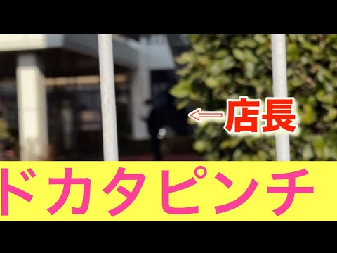 【柴犬飼い主54歳】ドカタが工務店に驚かされた！