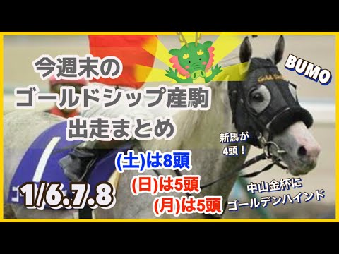 【ゴールドシップ】今週末のゴールドシップ産駒出走情報 中山金杯にゴールデンハインドが出走！