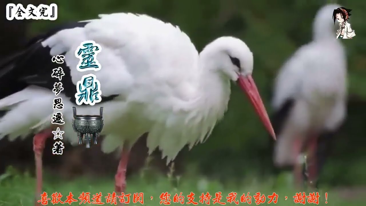 靈鼎 (2201-2220章) 作者：心碎夢思遷 (字幕：繁 简）