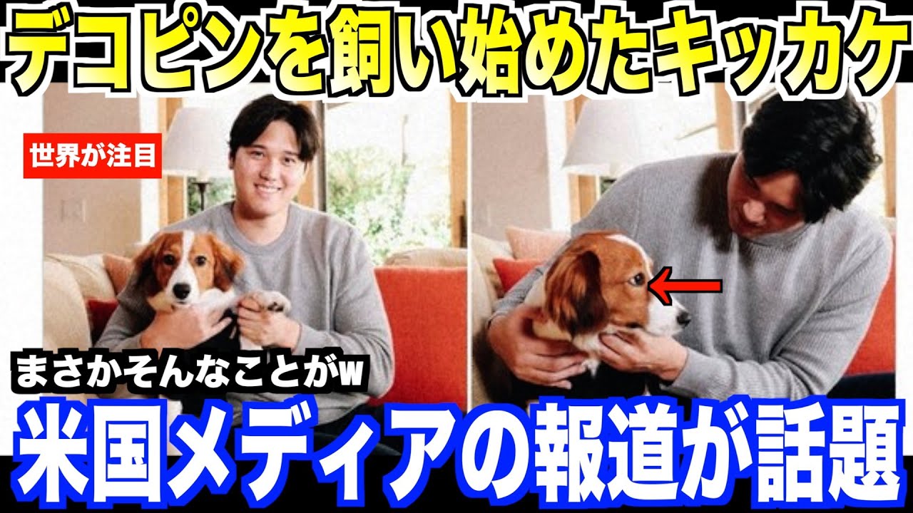 【海外の反応】大谷翔平がデコピンを飼い始めたキッカケが話題…米国でコメントが寄せられる！大谷翔平 トラウト　佐々木朗希　山本由伸 藤浪晋太郎　中野 拓夢