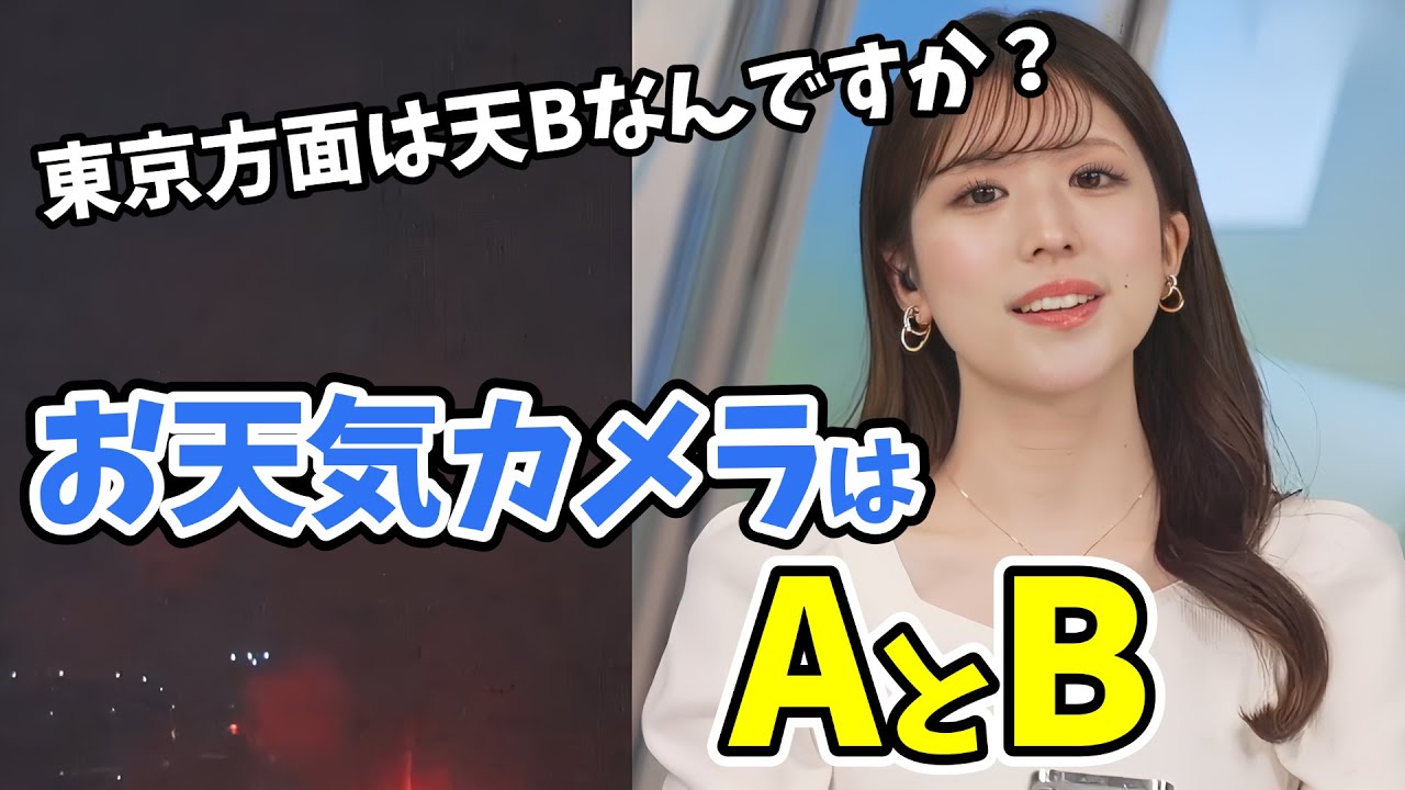 【小林李衣奈】視聴上級者向け情報を教えてくれる李衣奈ちゃん！東京方面のお天気カメラは天カメB【ウェザーニュース切り抜き】
