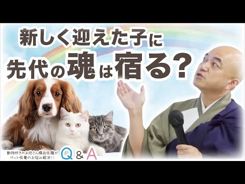 Q22.新しく迎えた子に先代の魂は宿る？／ペット供養Q&A